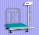Electronic Plat Form Weighing Scale