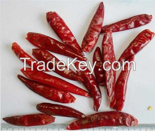 Dry Red Chilli