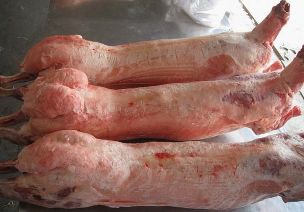 Grade Frozen Halal Lamb Mutton, caw, donkey Beef Meat
