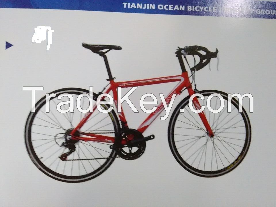 TY-MTB-054