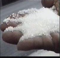 plantation white sugar/ raw sugar/ refined sugar