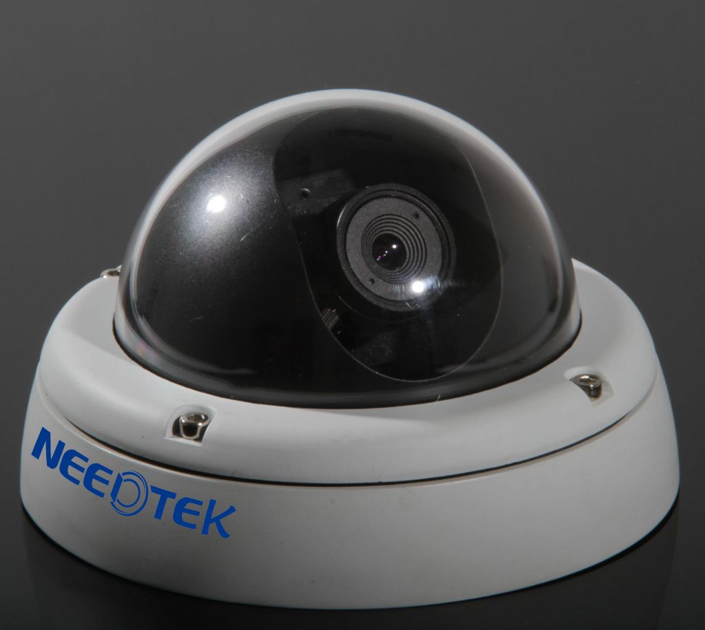 Indoor Dome IP Camera