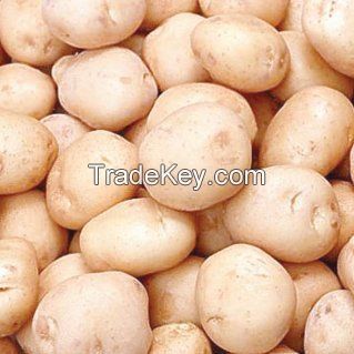 A Grade Potatoes