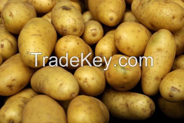 Potatoes from Pakistan