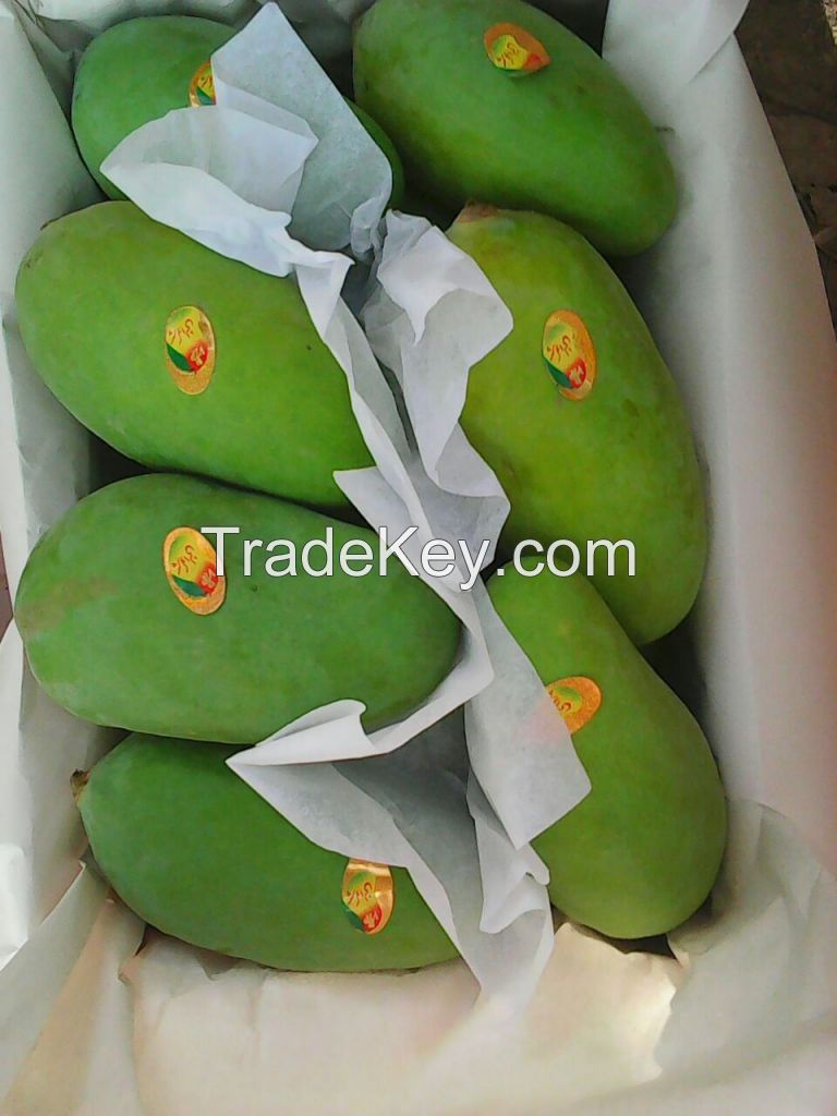 Green Chaunsa Mangoes from Pakistan