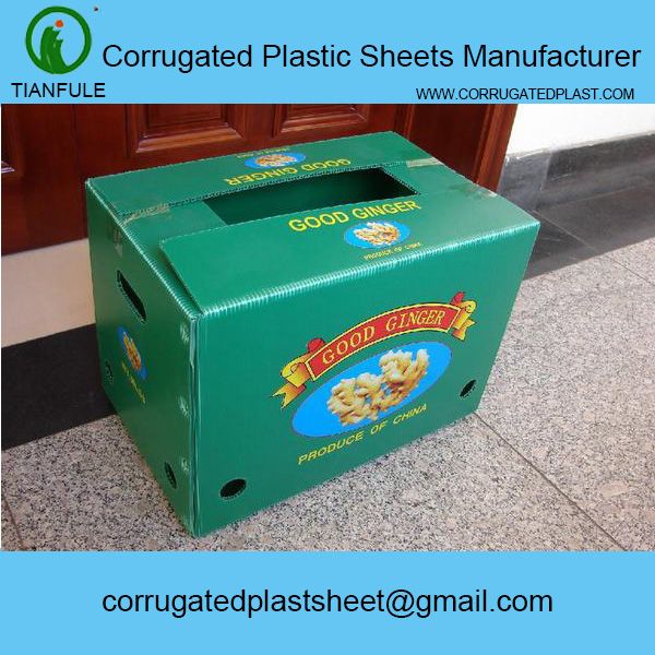 PP/PE Corrugated plastic sheet or corriboard