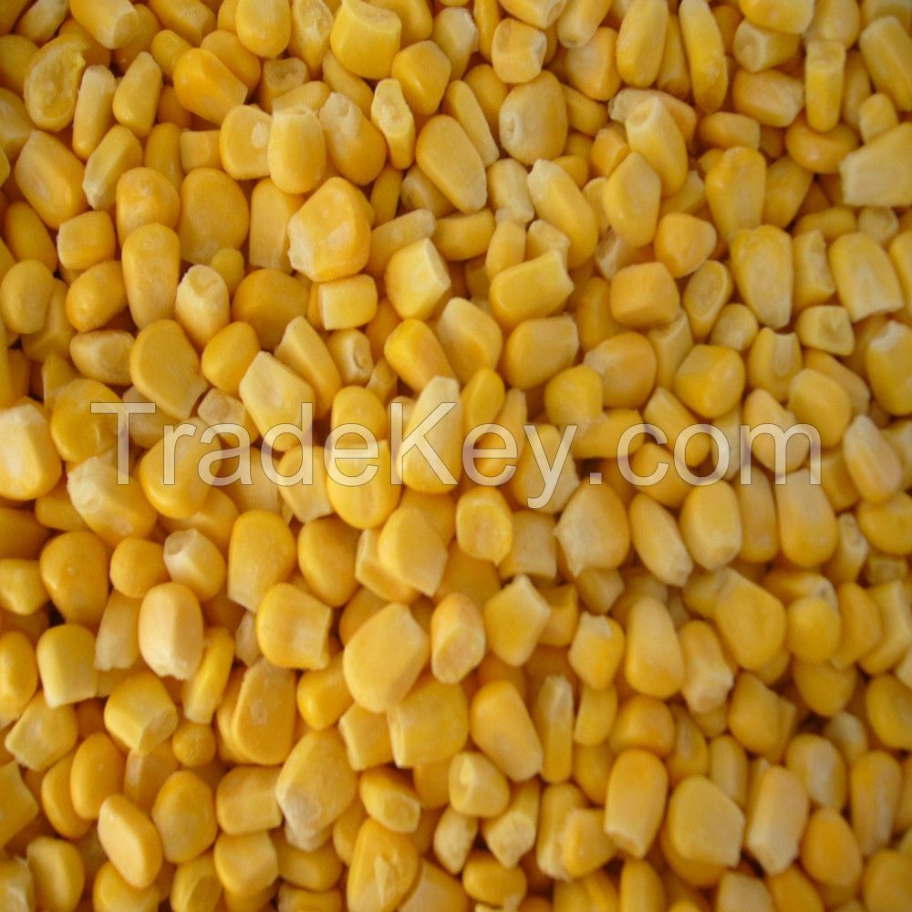 Supply China Frozen Sweet Corn IQF sweet corn kernel
