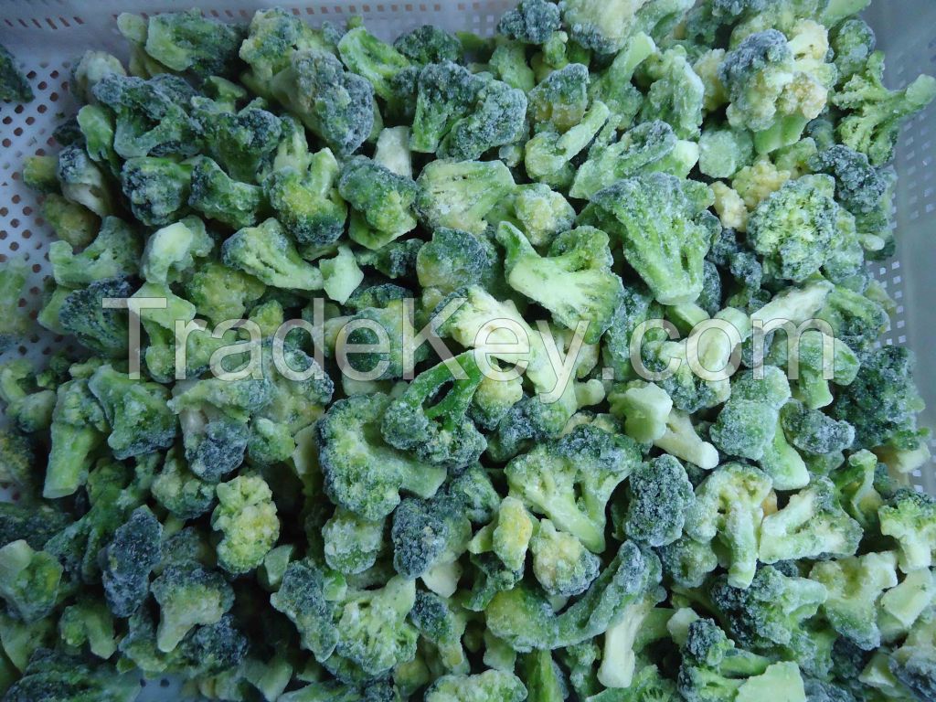 IQF frozen Broccoli floret 2-4cm 3-5cm with good quality and hot price