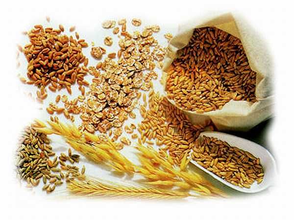 corn wheat barley rape