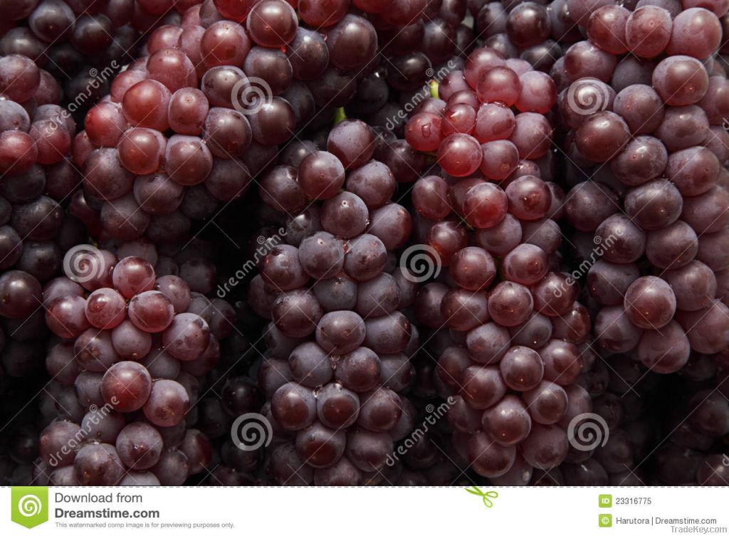 fresh red grapes