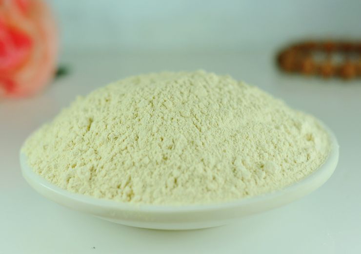 High quality papain, papaya extract/food additive wholesale