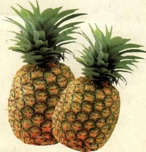 Quality guarantee bromelain, pineapple extract wholesale