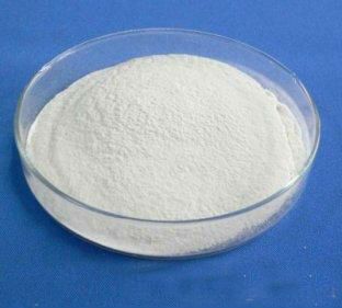 Factory direct sale pancreatin wholesale