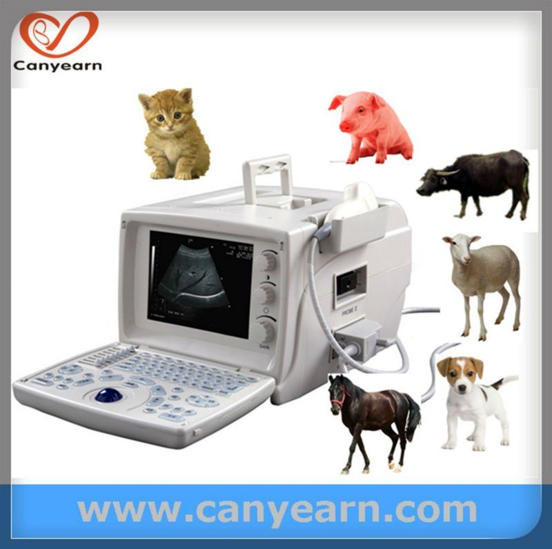 CE U640 Hand-carried Ultrasound Devices for Home Use