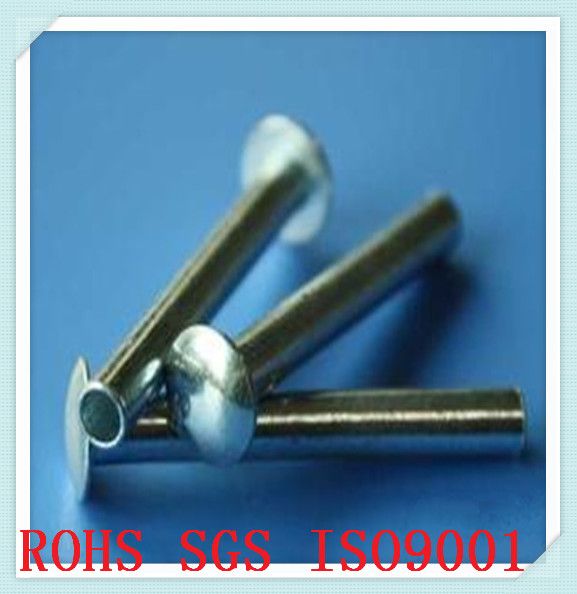 stainless steel alloy rivets/brass pop rivets/hex head rivet/tapping rivet