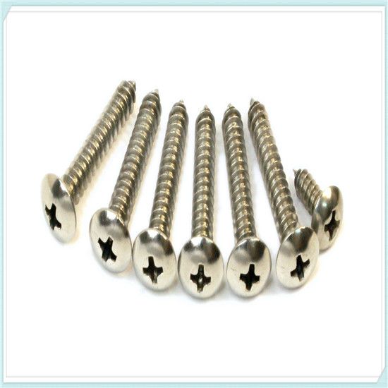 supplier stainless steel screws/self tapping screw/self drilling screw