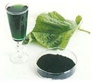 Sodium Copper Chlorophyllin