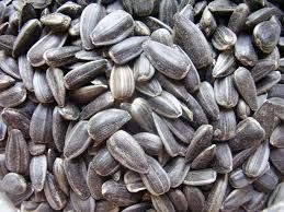 sunflower seeds