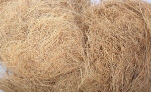 Coconut fiber 