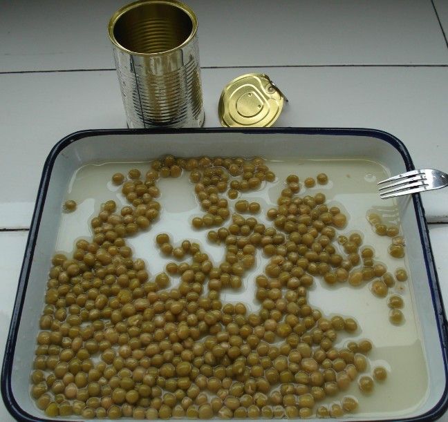 canned green peas