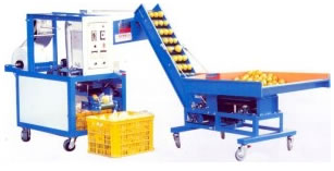 Automatic Fruit Bag-Packing Machine