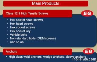 hex socket head cap screws