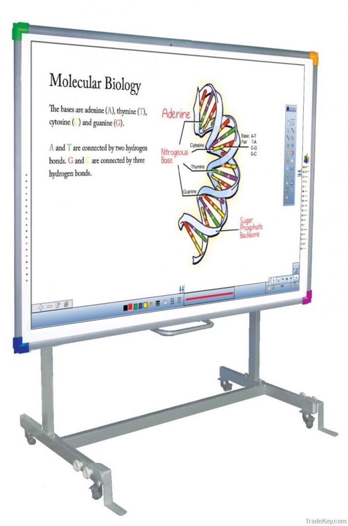 DViT interactive whiteboard