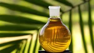 Palm kernel oil