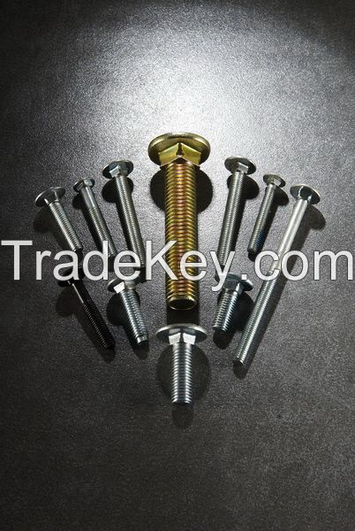 carriage bolt