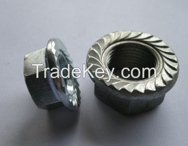 hex nut   flange nut square nut  nylon nut