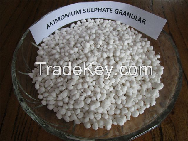 Ammonium Sulphate