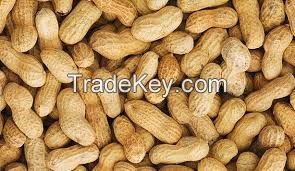 PEANUTS FOR SALE