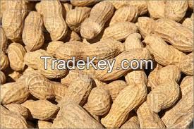 PEANUTS FOR SALE