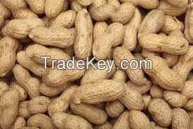 PEANUTS FOR SALE