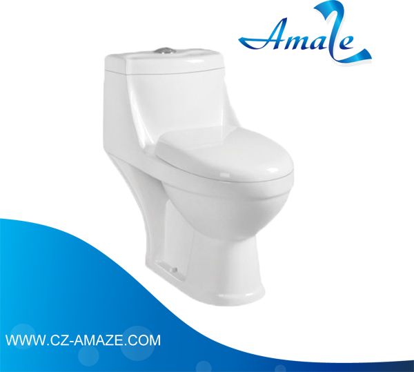 Economic  One  Piece  Toilet