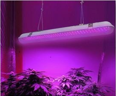 LED WATERPROOF PLANT LIGHT