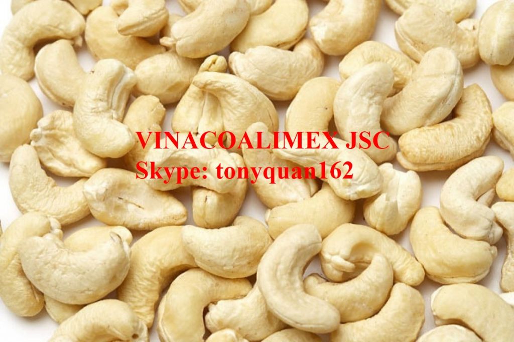 Cashew nuts W240 and W360 - Best quality and special price