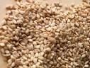 Sesame Seed | Sunflower Seed | Moringa Seeds | Poppy Seeds