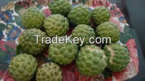 Quality Custard Apple (Shareefa)