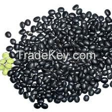 black soybean with green kernel