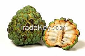 custard apple