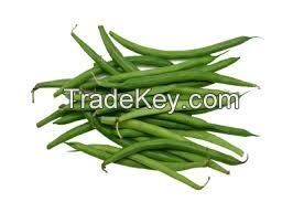 2014 June bulk produce Frozen green bean wholesale