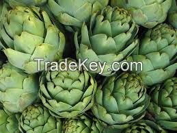 Cynara scolymus ,artichoke P.E. ,cynarin2.5% 5% by HPLC