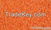 Red Split Lentils