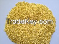 Yellow Broom Corn Millet