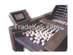 Automatic Egg Grading Machine / Cheap Egg grading machine