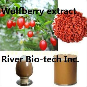 Natural Wolfberry(Goji) extract Polysaccharides 40%