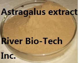 Natural Astragalus extract Polysaccharide 50%