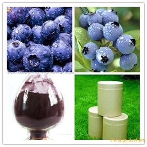 Natural Bilberry extract Anthocyanidins 25%