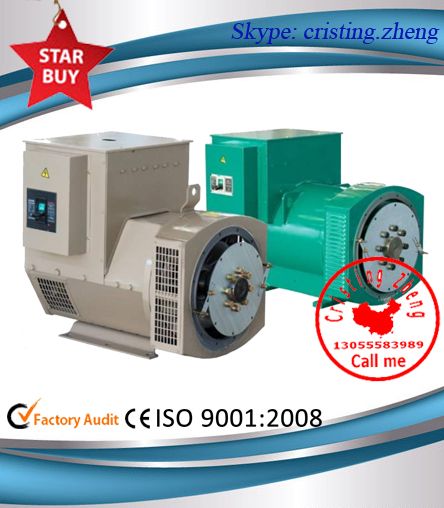 TWG SERIES THREE PHASE BRUSHLESS SYNCHRONOUS GENERATOR